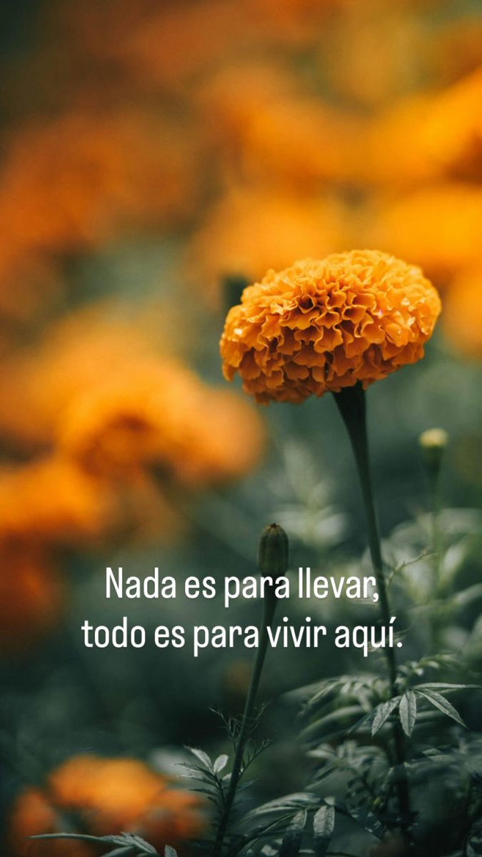 Noviembre nos recuerda que…