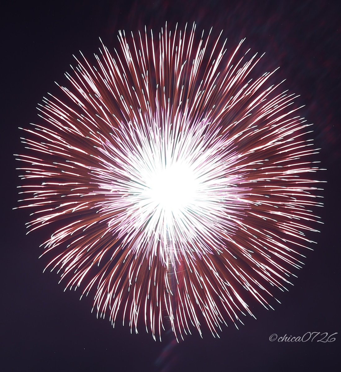 chica0726-cats&animals on X