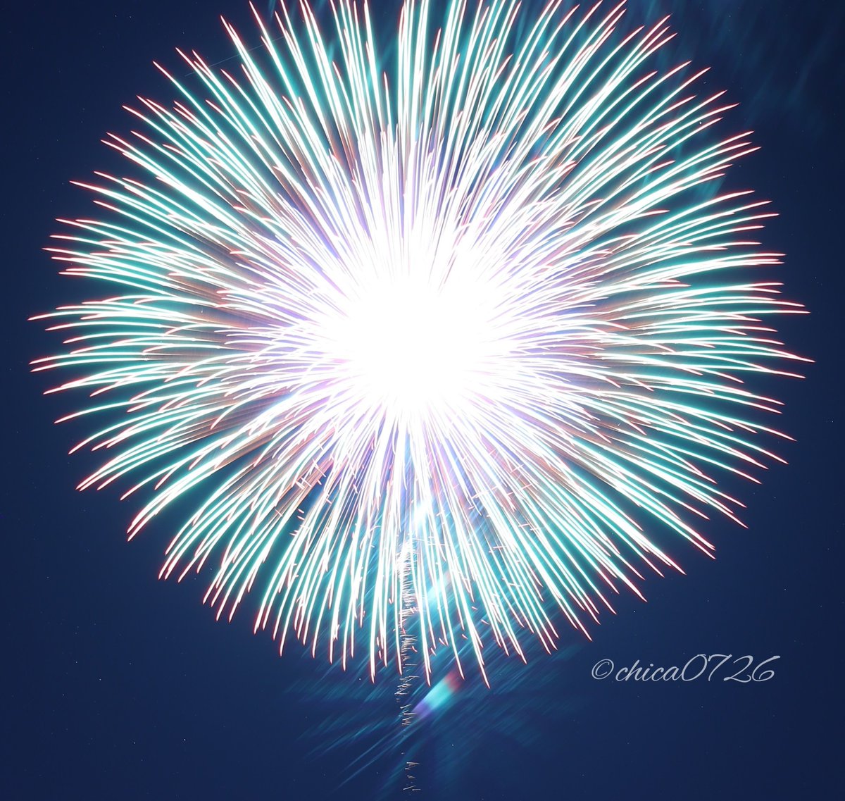 chica0726-cats&animals on X