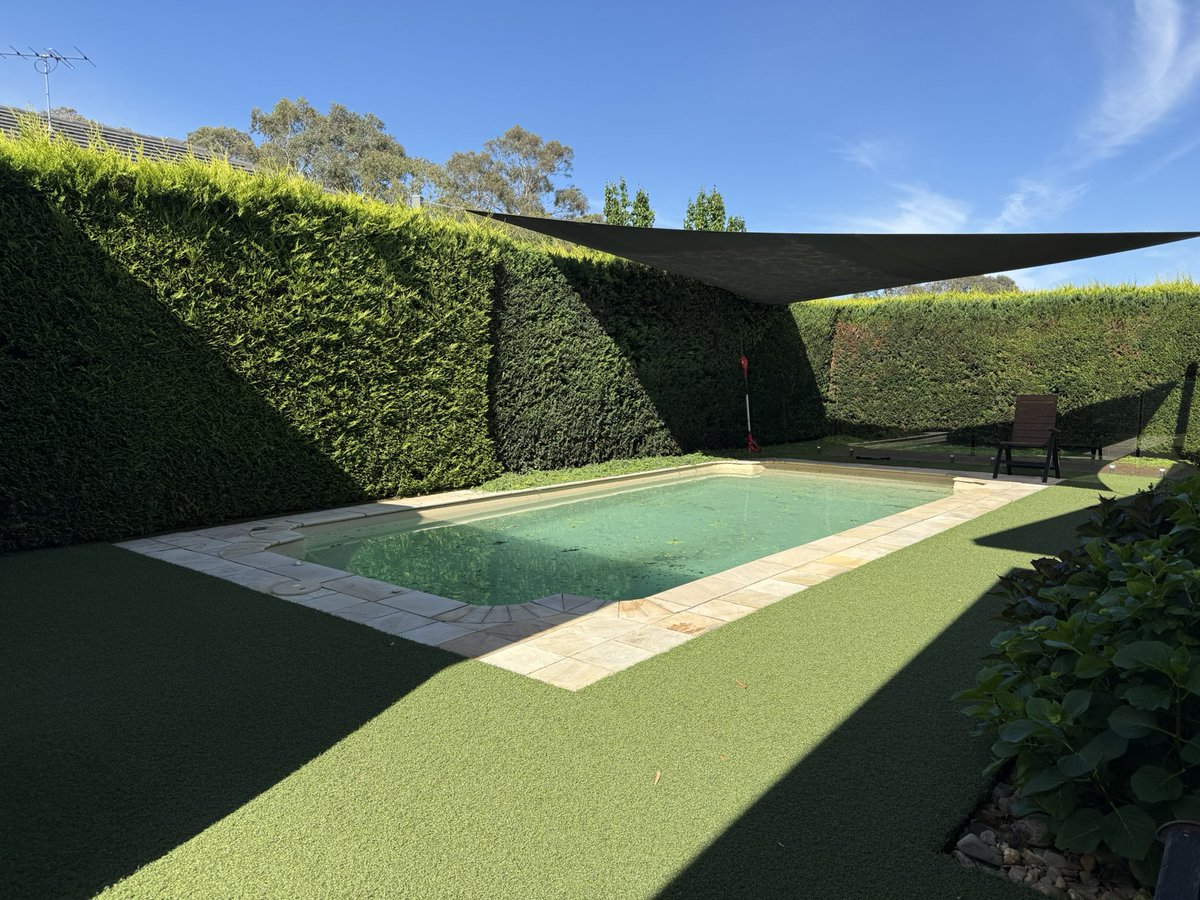 BlueModelY's tweet image. از ساعت ۸ صبح شروع کردم و الان به اینجا رسیدم. البته بالا و پشتش هم مونده. این زن گفت تو فقط کوتاه کن و بریز. من میام تمیز میکنم که وقتت گرفته نشه. الان تقریبا دو ساعته خبری ازش نیست. فکر کنم تمیز کردن هم کار خودمه 😁