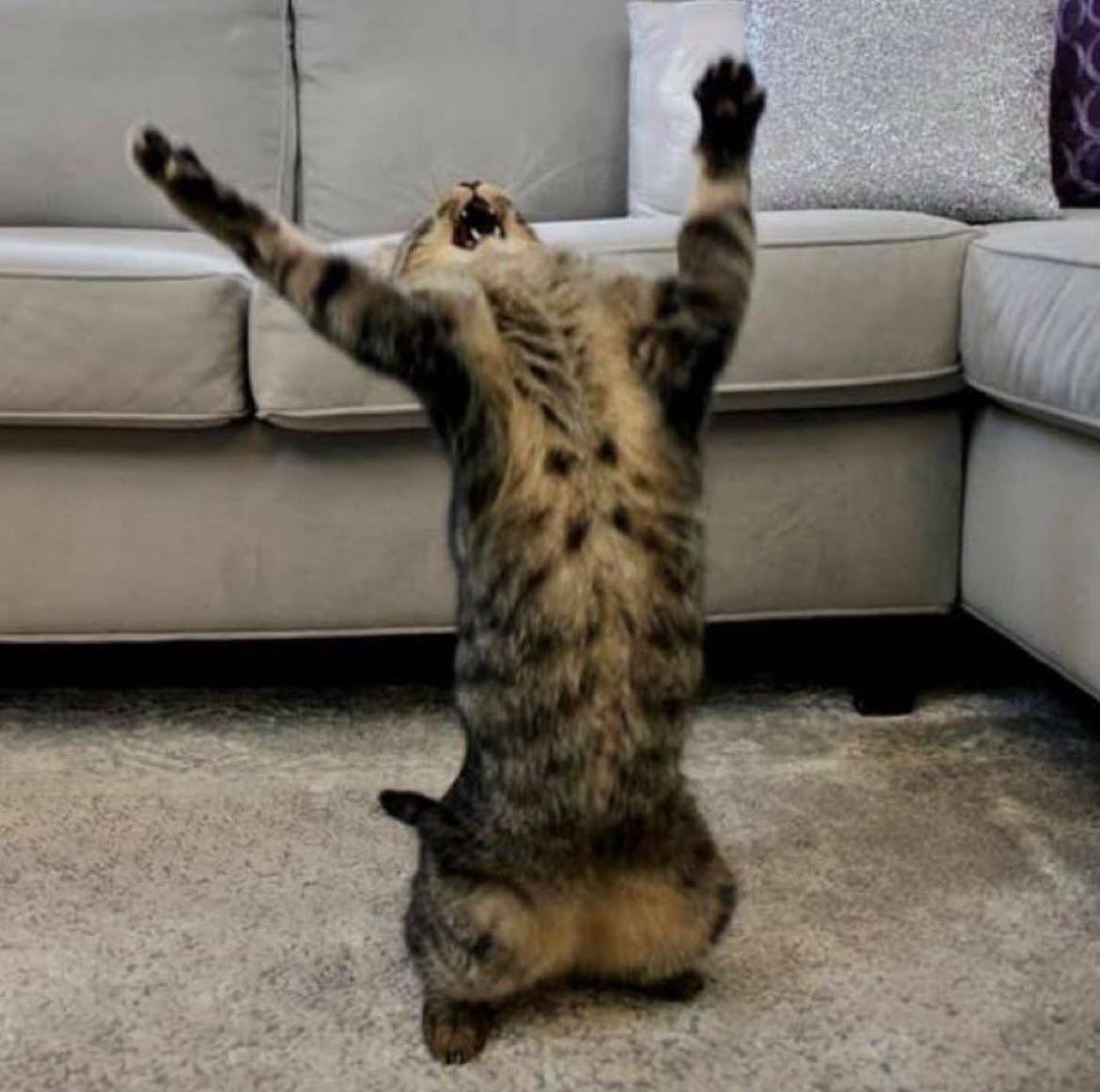 KREEEPER79's tweet image. “Why” is the original superpower.
Kids ask it naturally. Adults forget it.
The people who keep asking it? They lead.
Kinda poetic, right?