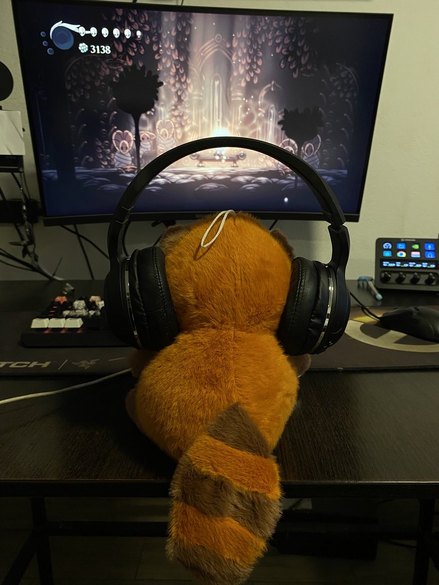 Currently watching my Red panda play >w< 
Viendo a mi pandita rojo jugar >w<