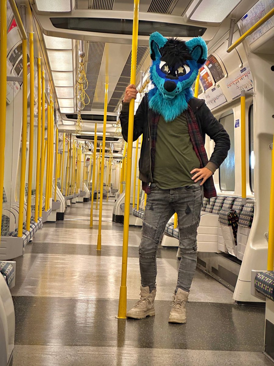 Coming home after an amazing LFM!! 🥰🥰

📸: <a href="/Shimimanokit/">Shark-Fluff</a>