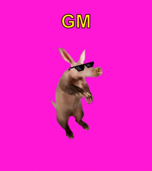 𝐊𝐢𝐬𝐡 tweet media