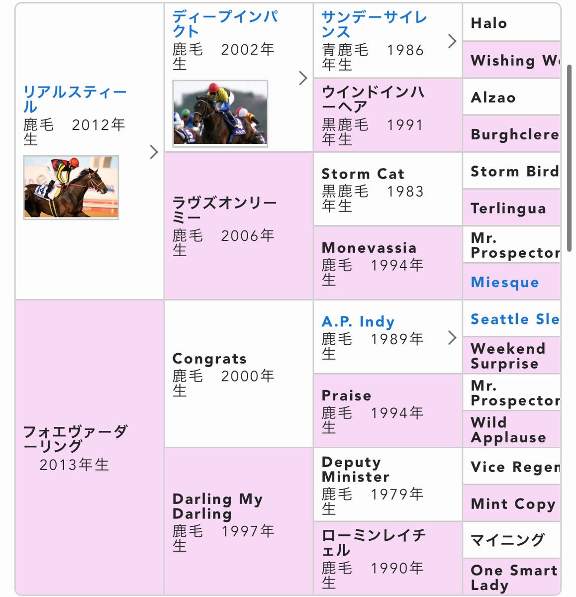 しばライオン 様 ヨドバシ.com - タカラトミー TAKARATOMY アニア ライオン