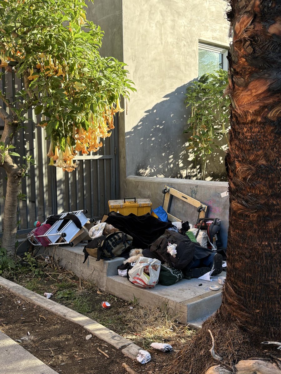 KBassProgReport's tweet image. Karen Bass wants you to believe that this filth and squalor across city streets is normal

It’s not.