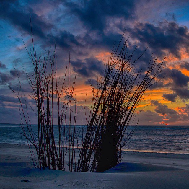 Love is when the other person's happiness is more important than your own.

H. Jackson Brown, Jr.