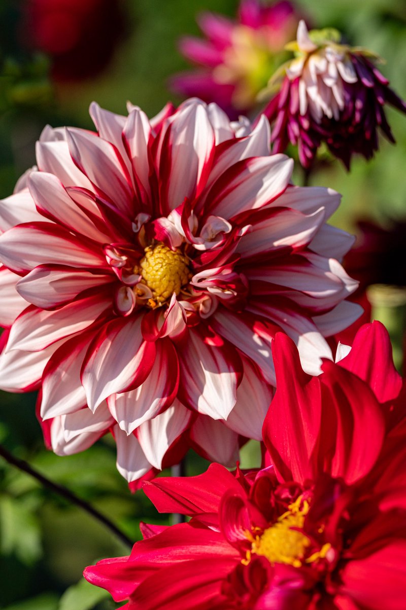 【山田太郎】 山田 太郎 on X