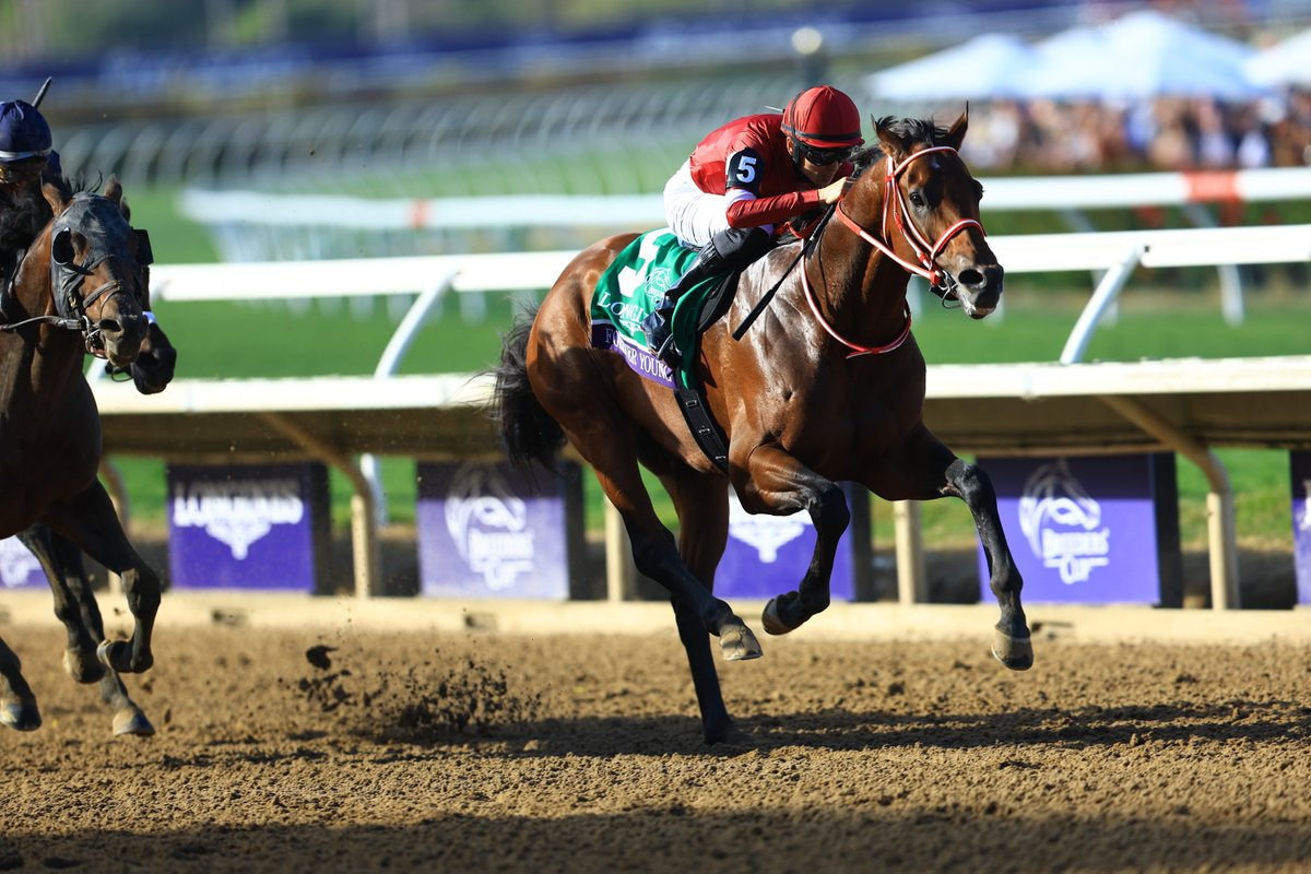 𝕞𝕦𝕞𝕒@競馬好き (@muma_1118) / Posts / X