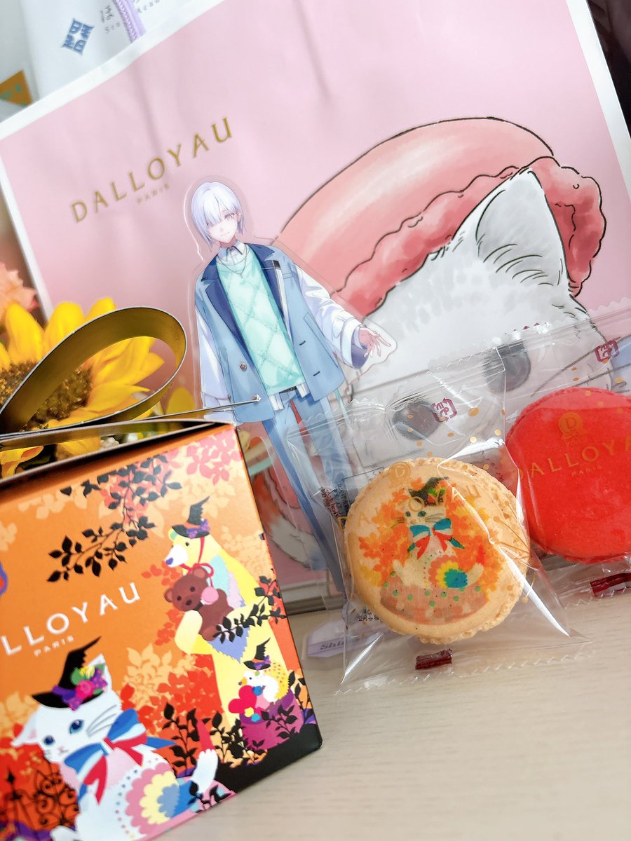 KOmekko✨４点 こめこ on X