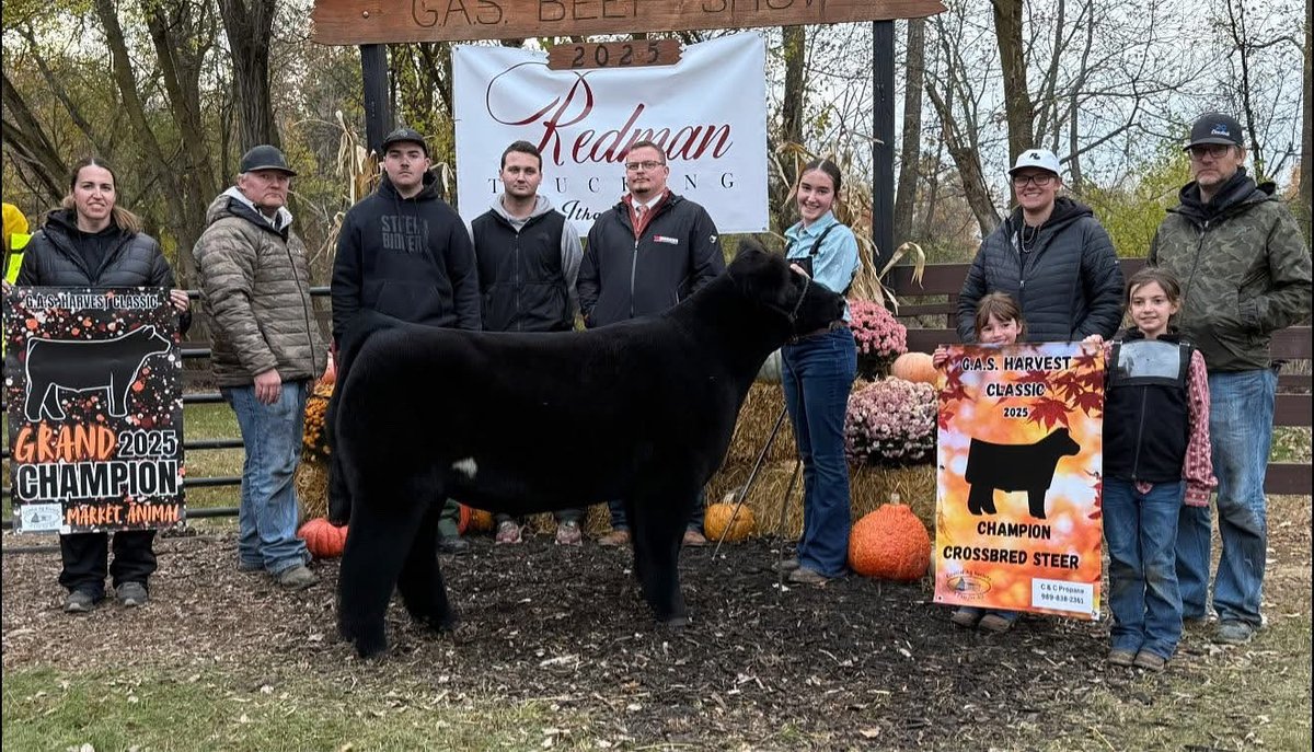 mattlautner's tweet image. #NewWorldOrder 

Grand Champion Steer 
2025 Harvest Classic Jackpot, Michigan 
Shown By Alloson Gilbert 
Raised By Dan Laufenberg, Wisconsin 
Sold By Richey Bros 
Sired By New World Order

#MLCSires #ESSBulls