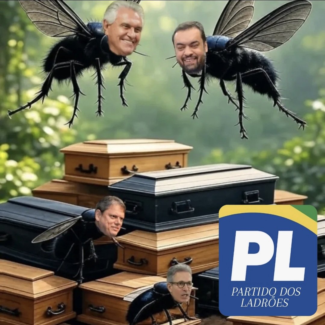 APROVEM A LEI ANTIFACÇÃO 
PEC DA SEGURANÇA JÁ
PL PARTIDO DOS TRAFICANTES 
PL PARTIDO DOS LADRÕES