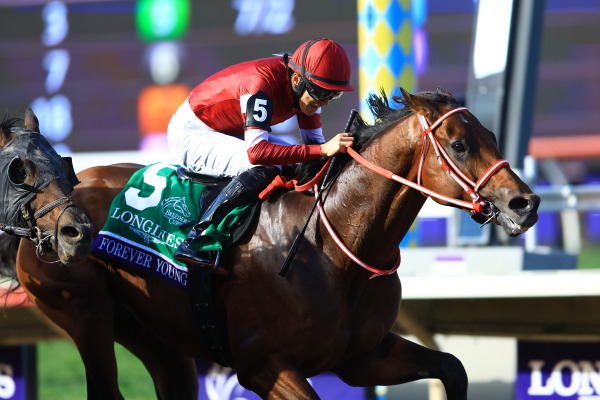 ShuheiOkada's tweet photo. 【速報版】9レース・BREEDERS' CUP CLASSIC（G1 ダート2000m）｜2025 アメリカブリーダーズカップ・デイ 現地取材レポート｜日本馬の世界挑戦！現地レポート｜お楽しみ｜JBISサーチ（JBIS-Search） https://t.co/5WTs2Ns75f 
#BreedersCup #BC25 #ブリーダーズカップ #フォーエバーヤング https://t.co/FLHlMAVpze