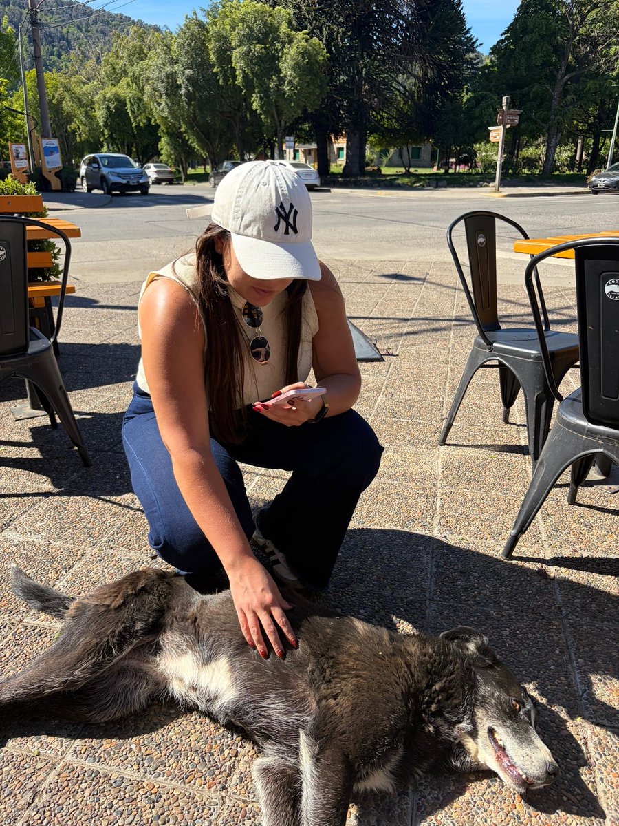 📍🇦🇷Touchdown <a href="/JoinEdgeCity/">Edge City</a> Patagonia for <a href="/LiskHQ/">Lisk</a> Emerging Markets Founders Residency!

Reunited with <a href="/whyKingdavid/">King</a> and <a href="/fidesio_G/">Fidesio</a> and got some much needed sunshine after 38 hrs of travel 

Now time to recuperate and lock in for the next 2 weeks alongside some amazing founders 💪