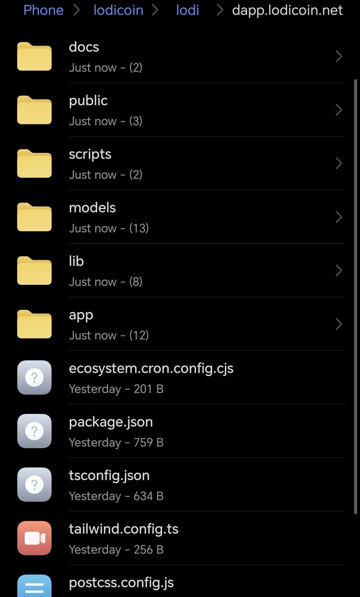 We're Coding the Next Big Thing $LODI 😂