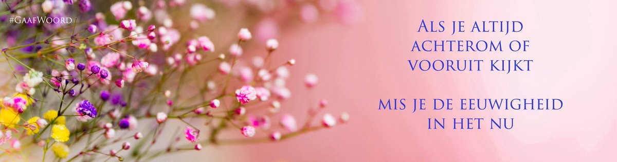 #GaafWoord #uitspraak #quote #woorden #tekst #spiegelwoorden #bewustwording #levenshouding #HoopGever #HoopVerlener #Lichtdrager #bemoediging #wijsheid #levenswijsheid #compassie #Inspirator #passie #omzien #woorden #troostwoorden