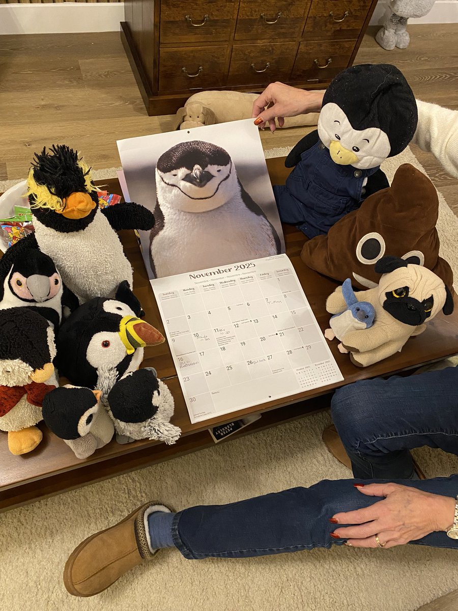 PDWalker70's tweet image. It’s so exciting. We just turned over the penguin calendar for November! It’s a chinstrap! He’s such a cutie. Happy November everyone! ❤️🐧🐧🐧