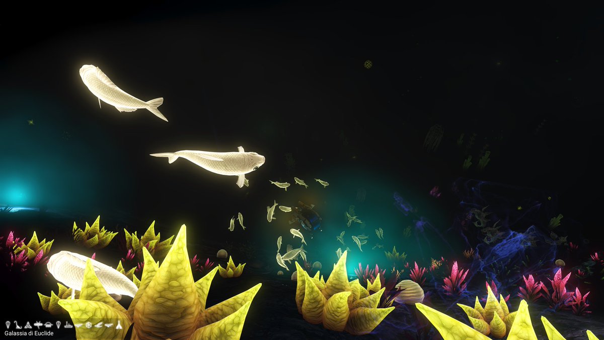 A journey through the Breach 
1 Searching the sea glass
2 hippocampus
3 I have the power
4 a new definition for the term goldfish
#NoMansSky 
#NoMansSkyBreach 
🐚🦐✨️🐠