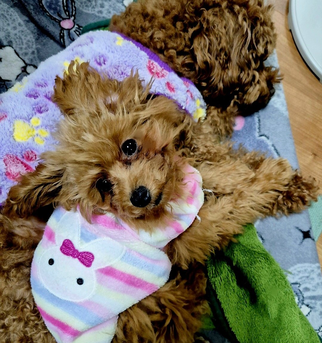 調子いいねです☺︎ ねぇね