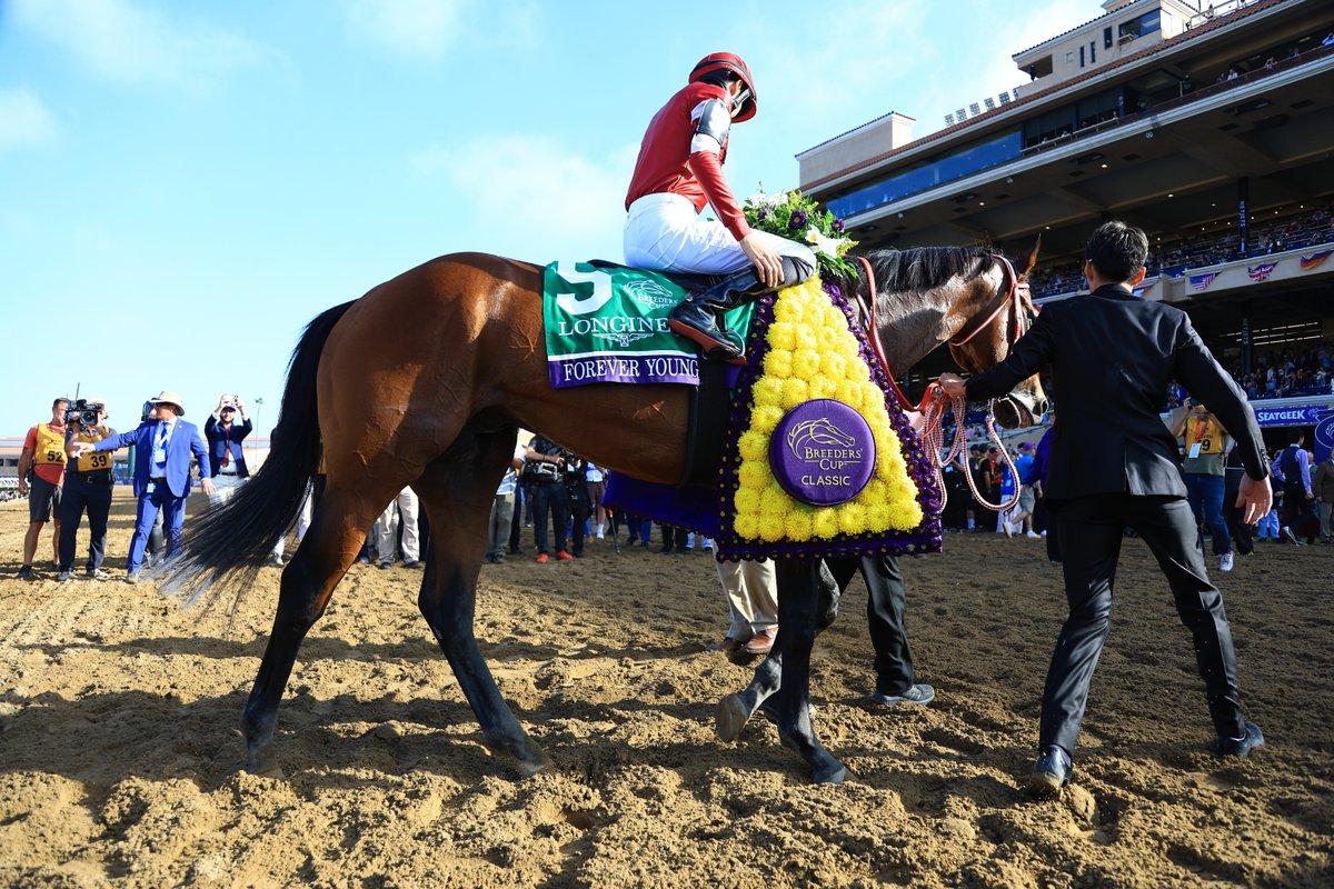 2178❣️ 瑪瑙　馬　唐馬　戦闘馬 2178❣️ 瑪瑙 馬 唐馬 戦闘馬 Amazon | JOYTOY 1/18 Dark