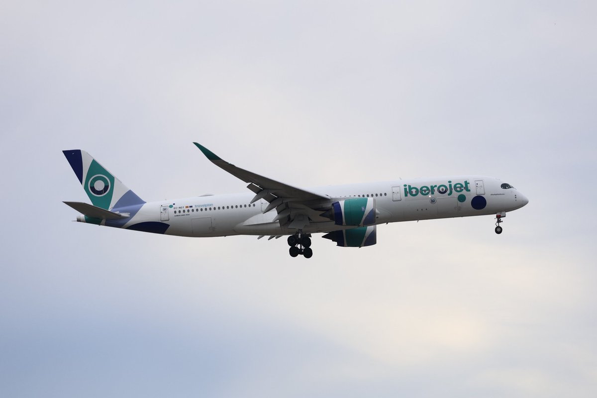 まめお (@mameo_mamemame) / Posts / X