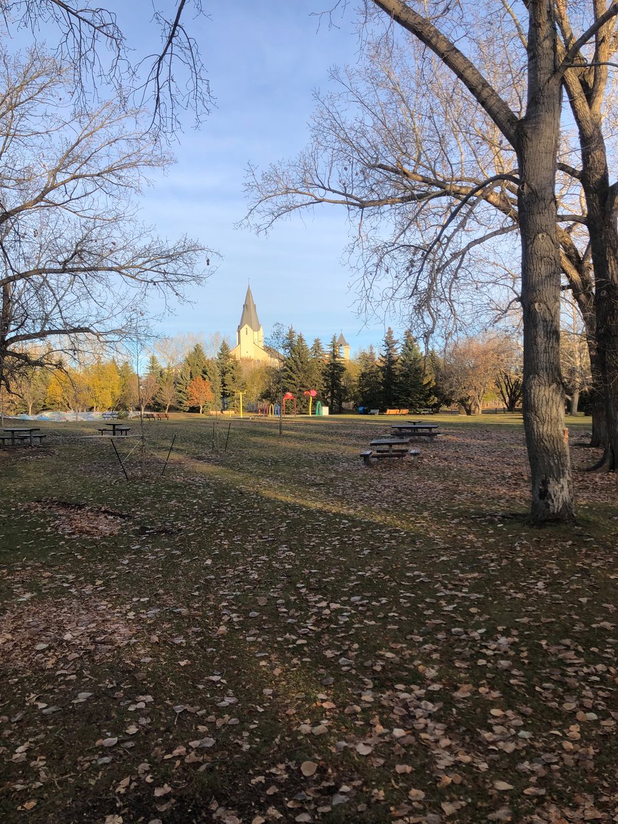 Nathan Zekveld tweet media