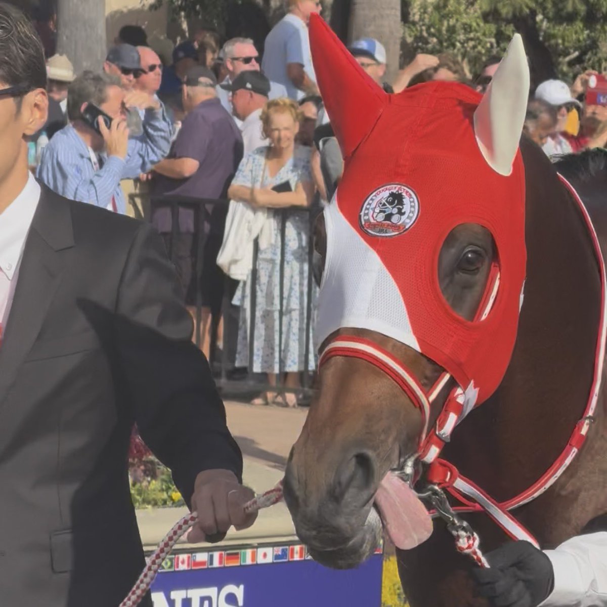 オルフェーヴル(天井) (@Orfevre_um) / Posts / X