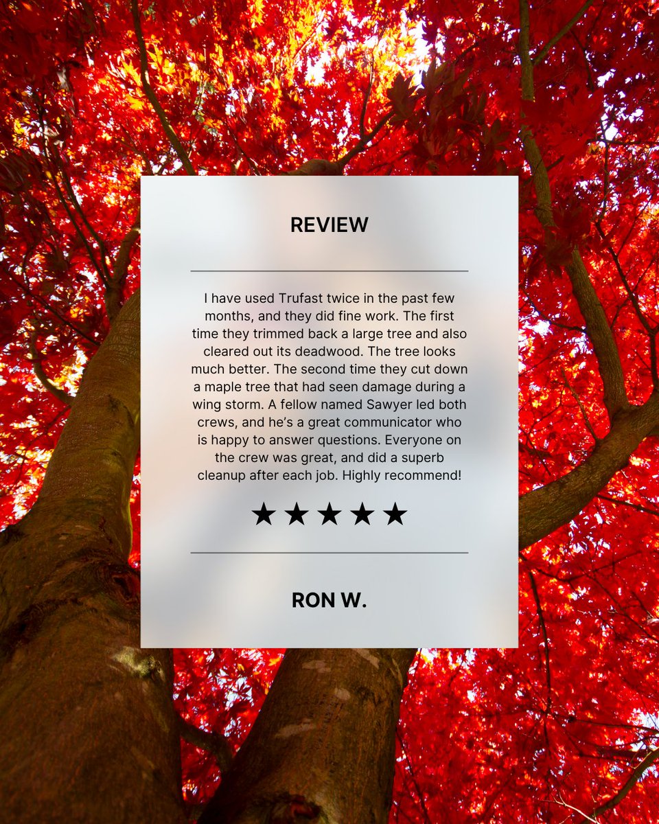 TrufastTree's tweet image. We have a hard-working team!  

#springfieldmo #417land