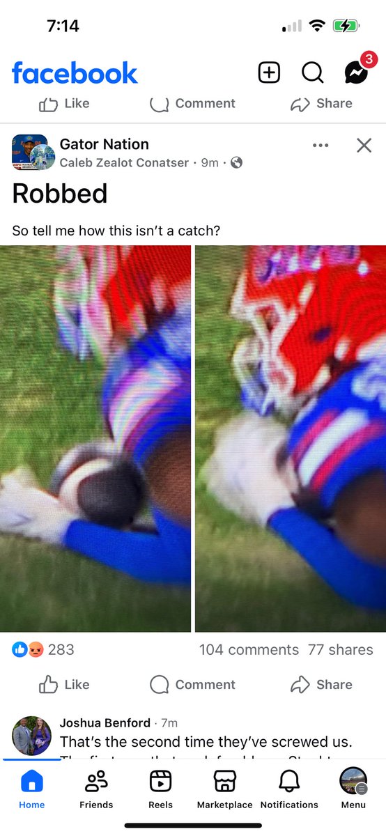 Zachary Healey tweet media