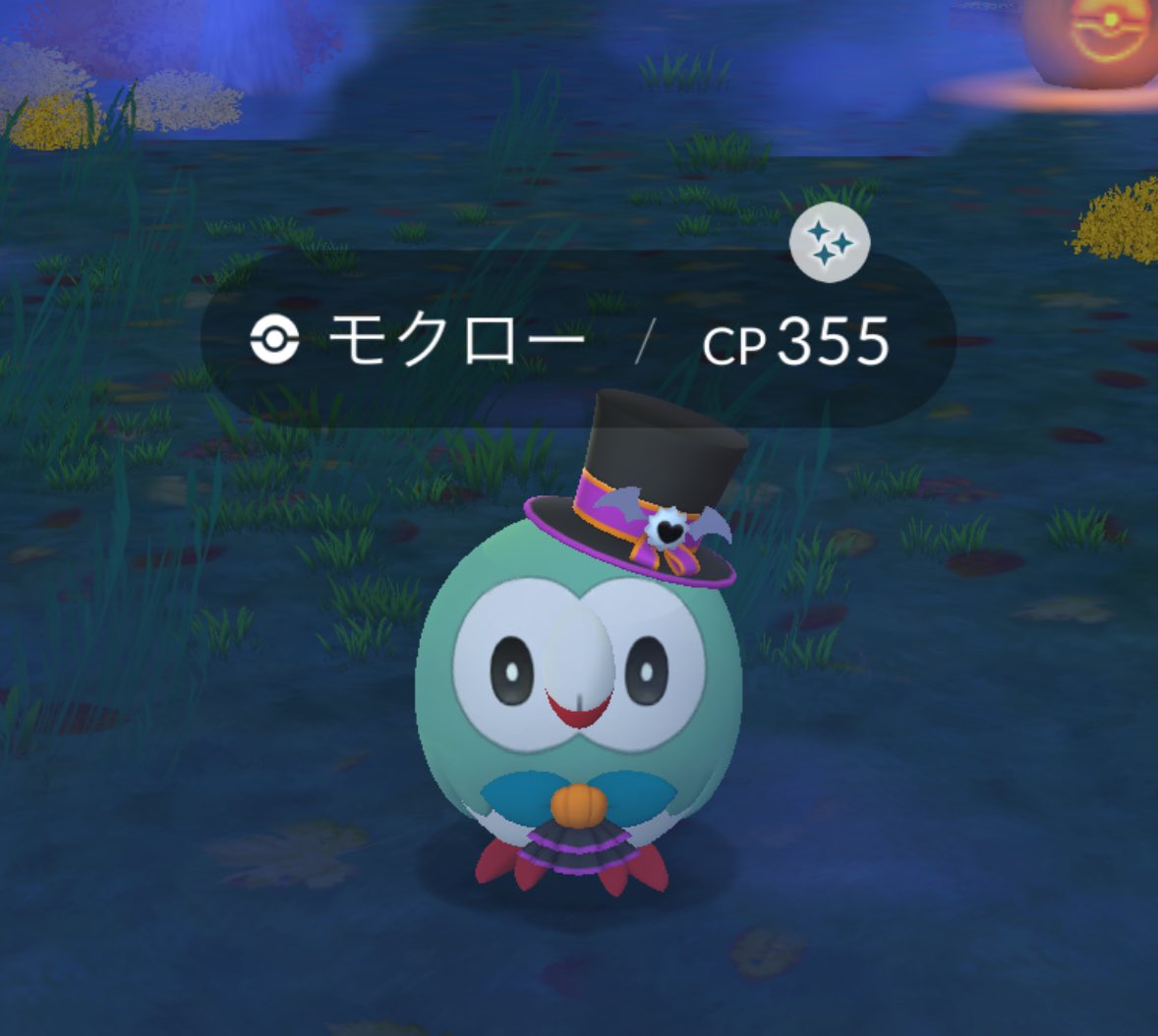 ROA11gj's tweet image. 🦉✨✨