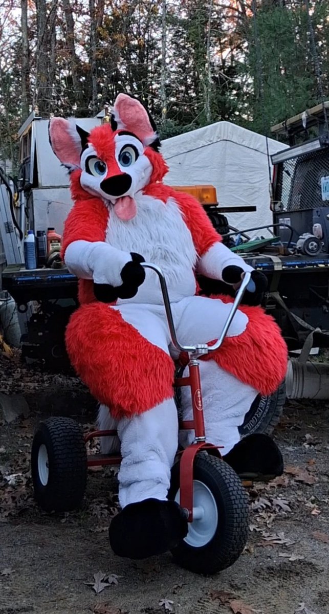 LittleRedAB's tweet image. Just a puppy on his tricycle that is all 🥰