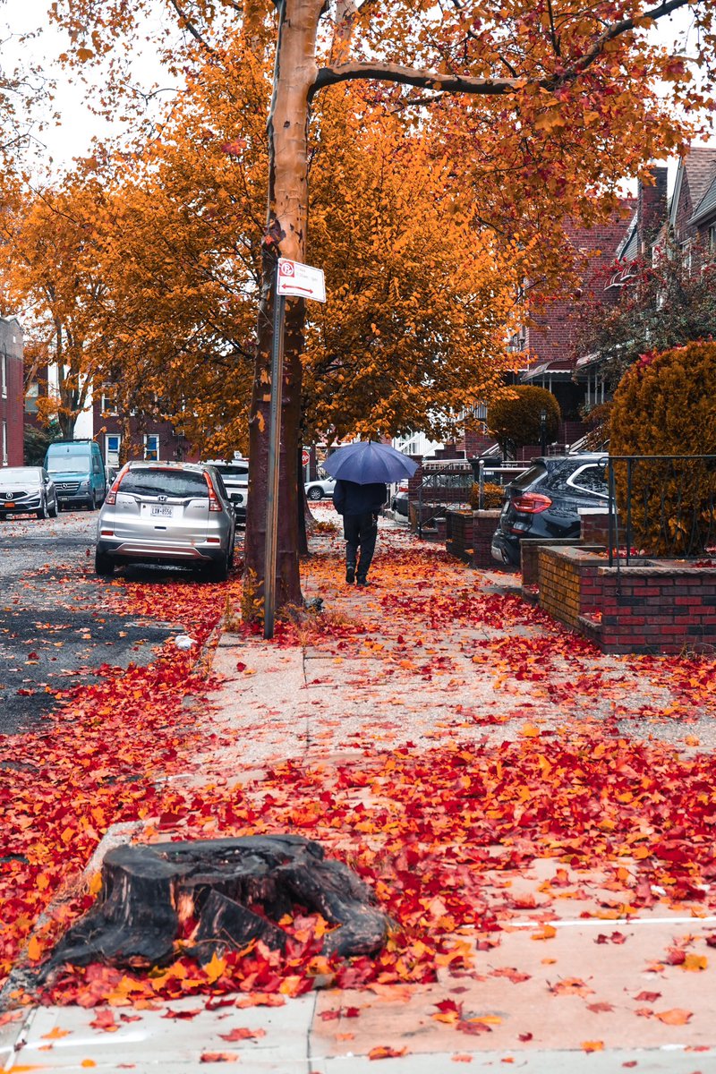 Brooklyn 
.
.

#NY1Pic