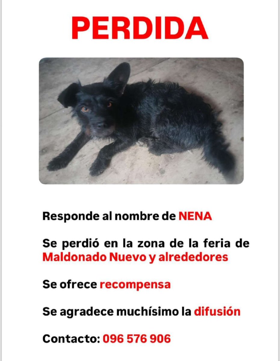 tatiigarzab's tweet image. Porfa difusión 
Maldonado🙏