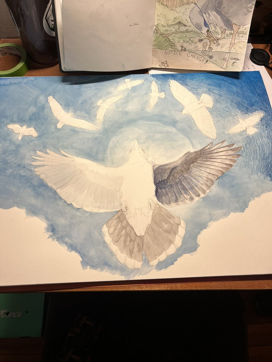noises_whale's tweet photo. been up to my bird antics as of late (hello from the dead i know i have been MIA) https://t.co/HApEFKcgpJ