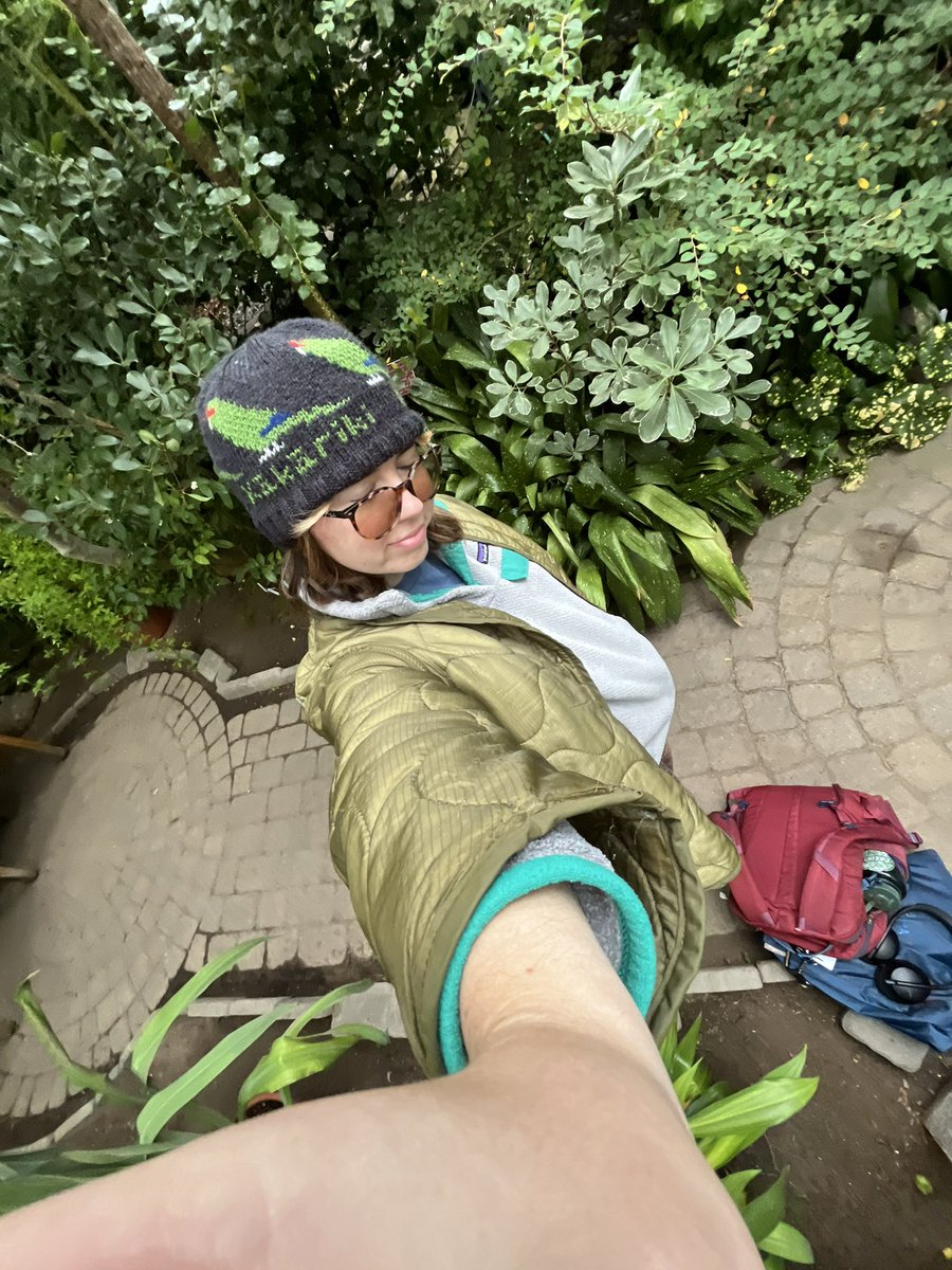 noises_whale's tweet photo. been up to my bird antics as of late (hello from the dead i know i have been MIA) https://t.co/HApEFKcgpJ