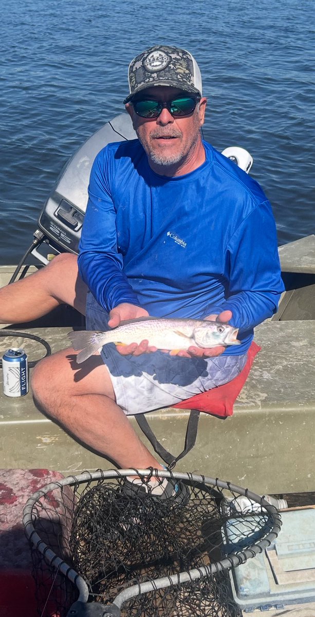 Fryedaddy/Frito tweet media