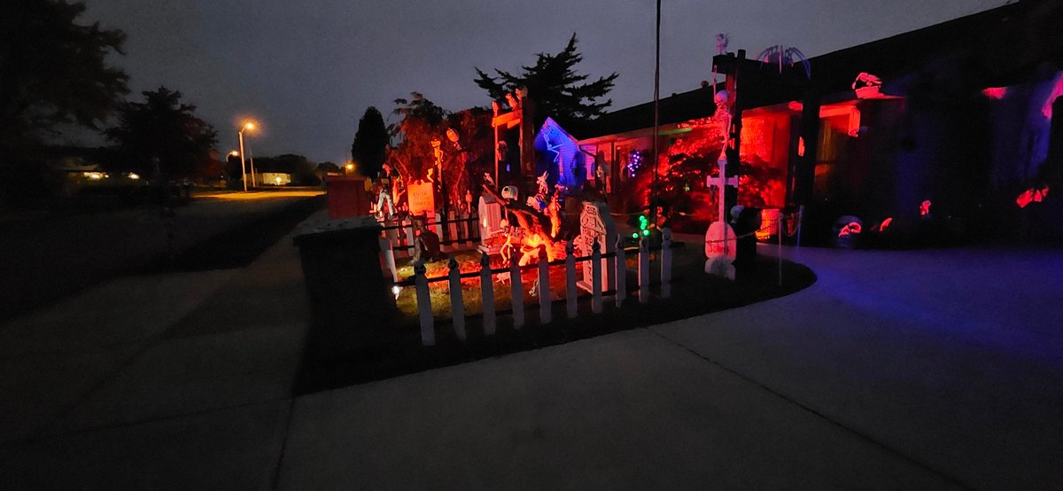 The Haunted Grave 🕸🦇 (@hauntedgrave) on Twitter photo 