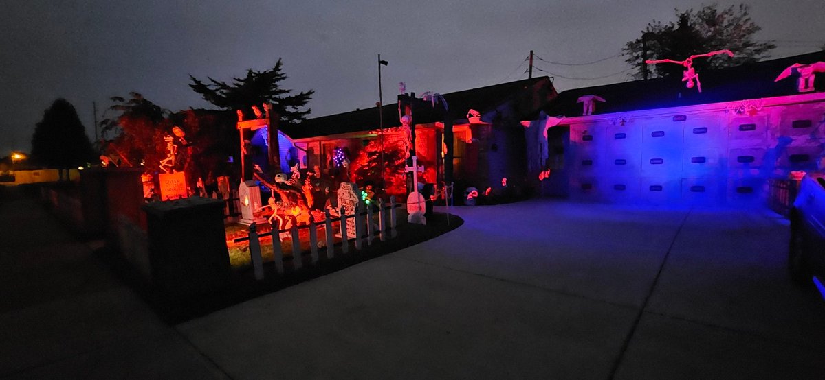 The Haunted Grave 🕸🦇 (@hauntedgrave) on Twitter photo 