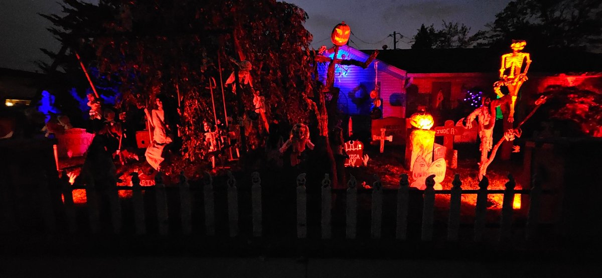 The Haunted Grave 🕸🦇 (@hauntedgrave) on Twitter photo 