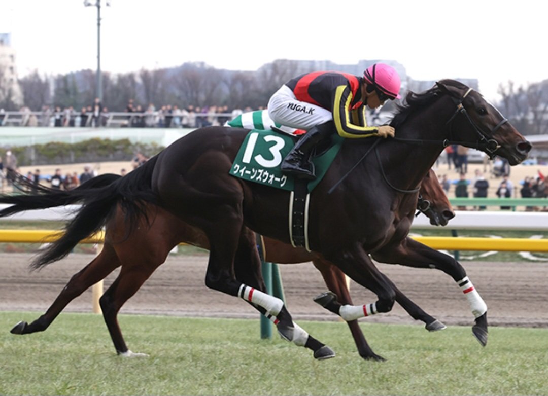 馬🐴ちゃんニセモノ笑🤣💦 (@yeah0831_nb_wow) / Posts / X