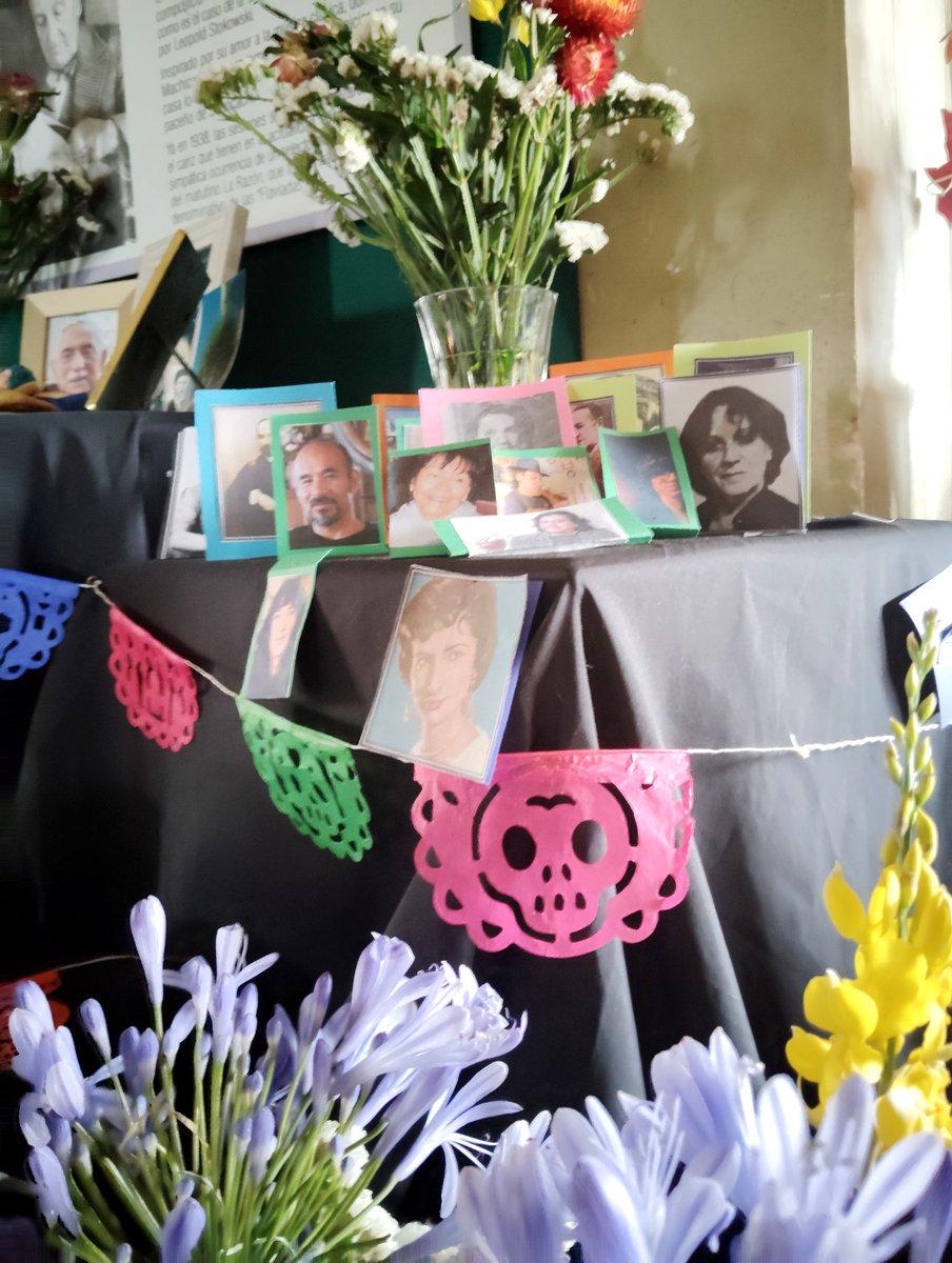 Flaviadas tweet media