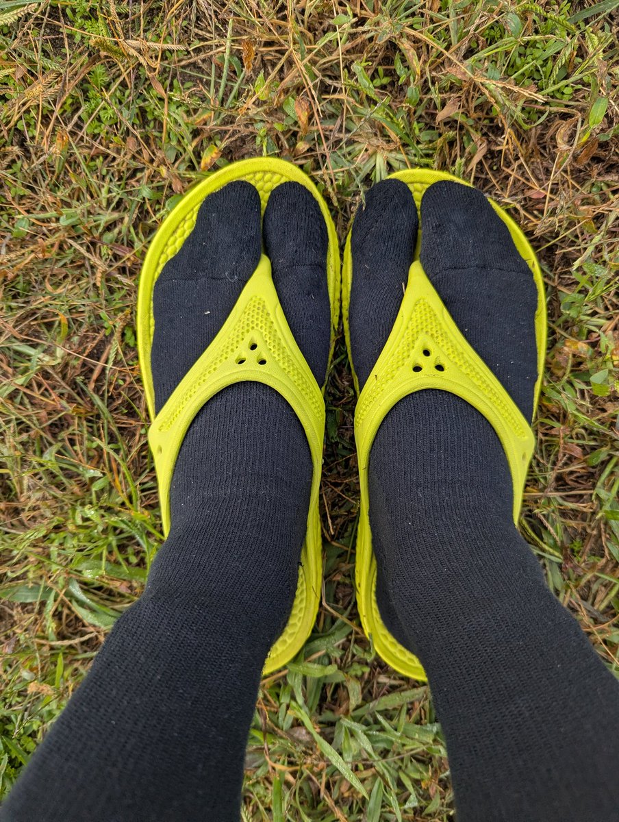 蓮華さま専用ページ 蓮華 on X