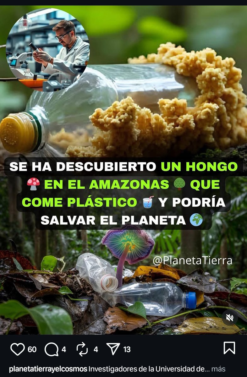 JoseETutorials's tweet image. Espero que la naturaleza lo haga mejor que los humanos o acabaremos como en el video juego de stray 🐱 🍄 😶🌫️