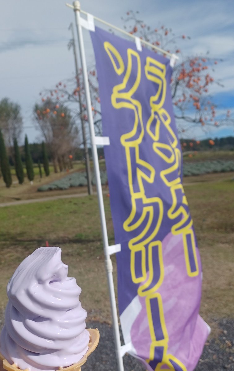 ラベンダーとなっております ラベンダーとなっております ラベンダーとなっております