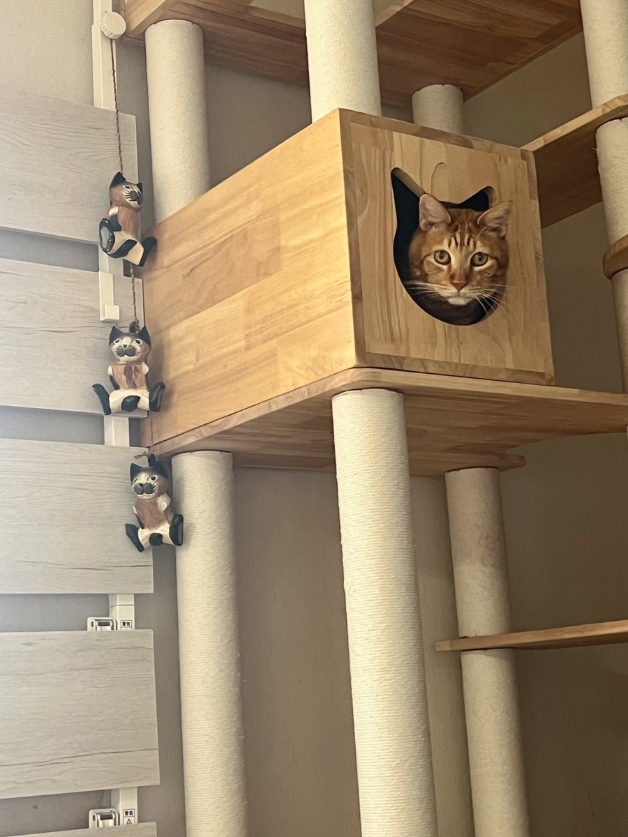 のぶひろ (@hiro_ver0709) / Posts / X