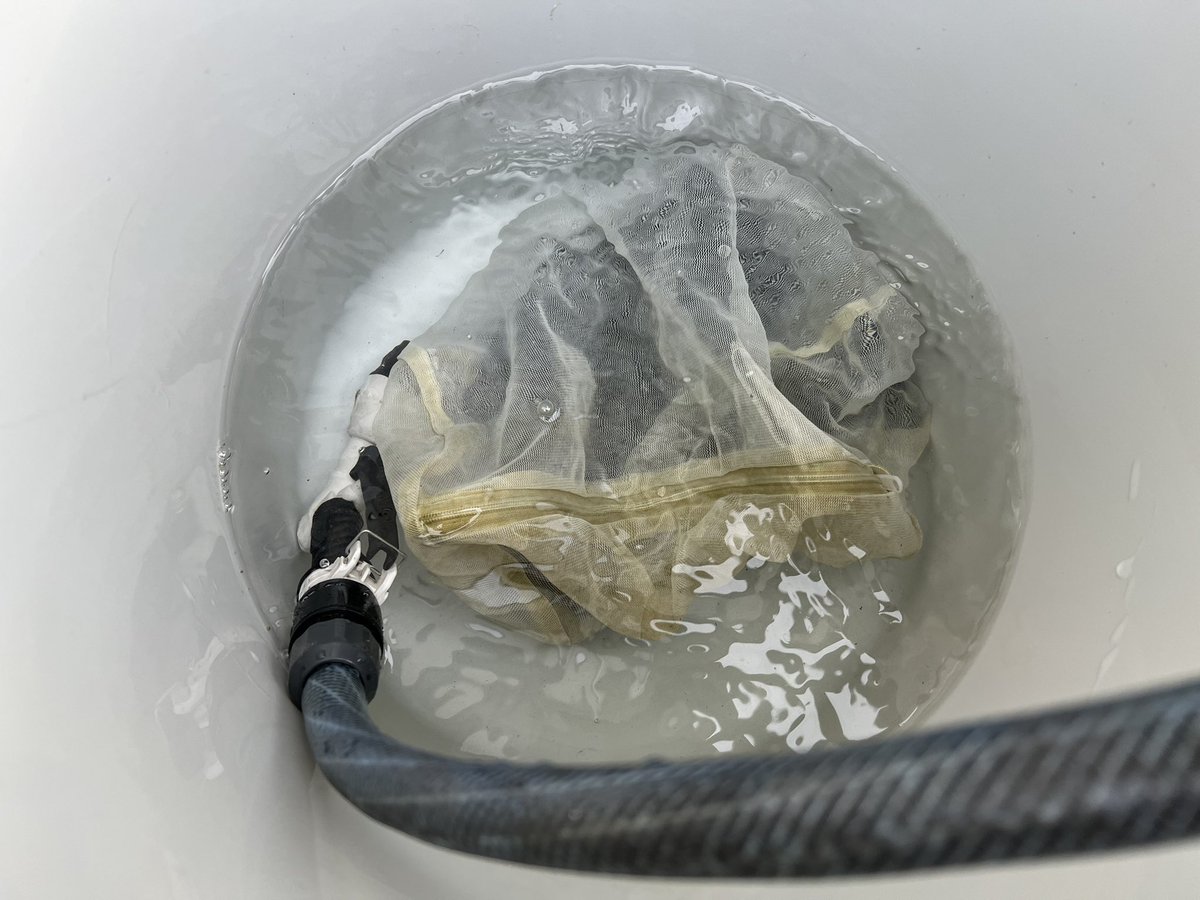 一本柳光唏（ぽんやな） on X