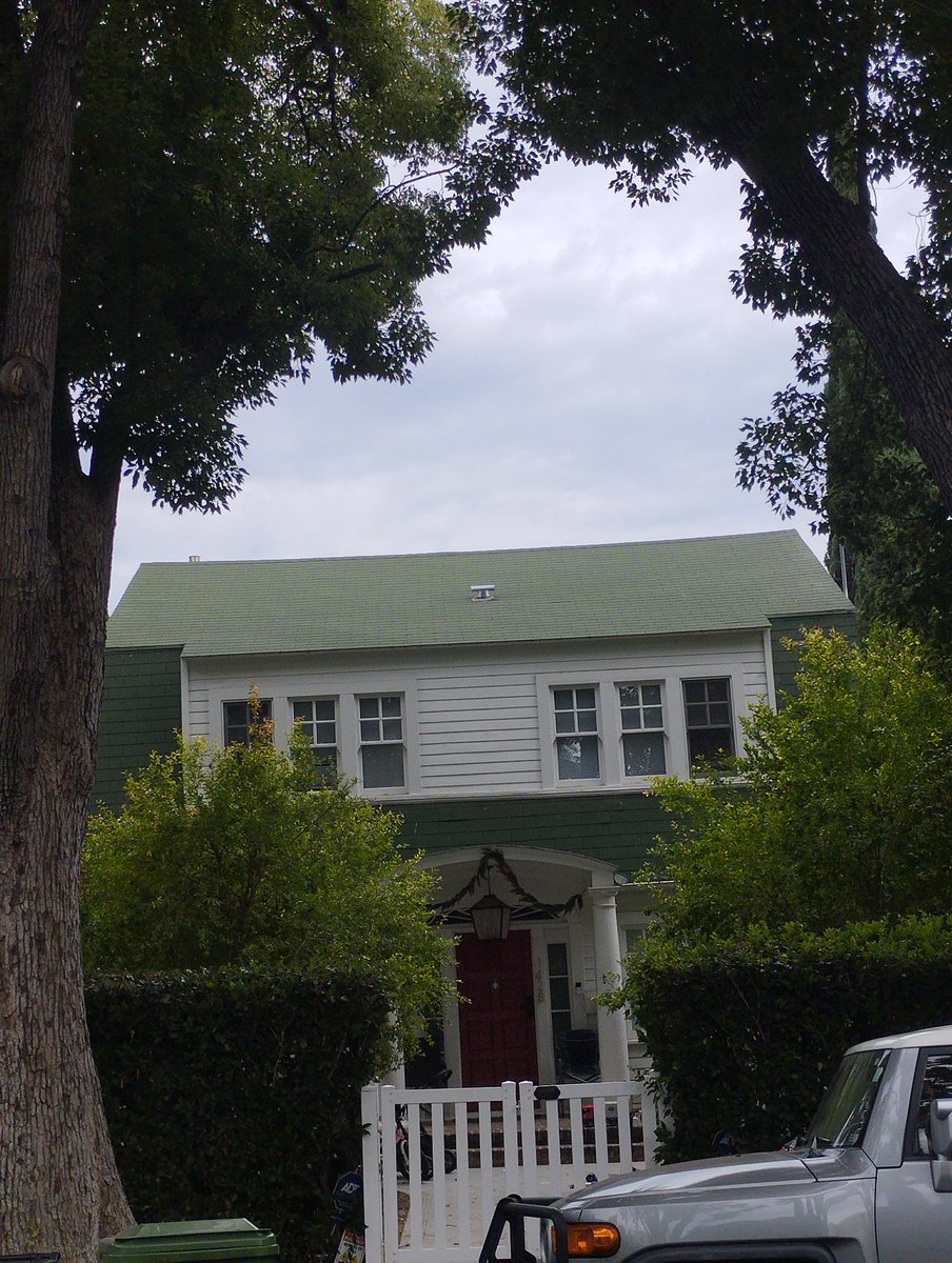 Pude verla hace un año, y me la encontré así: