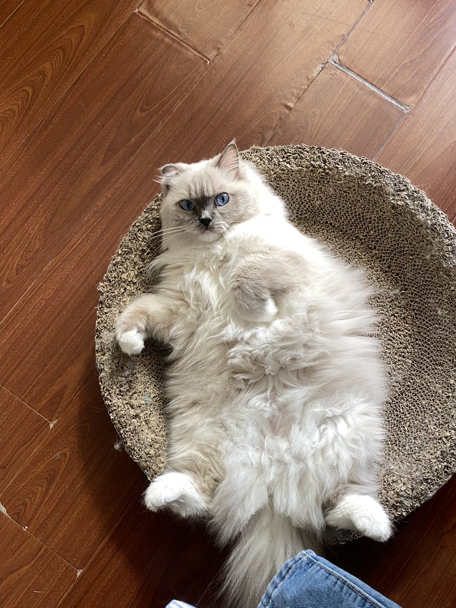 api_beer's tweet image. duangduang的，谁能想象她才8.9斤