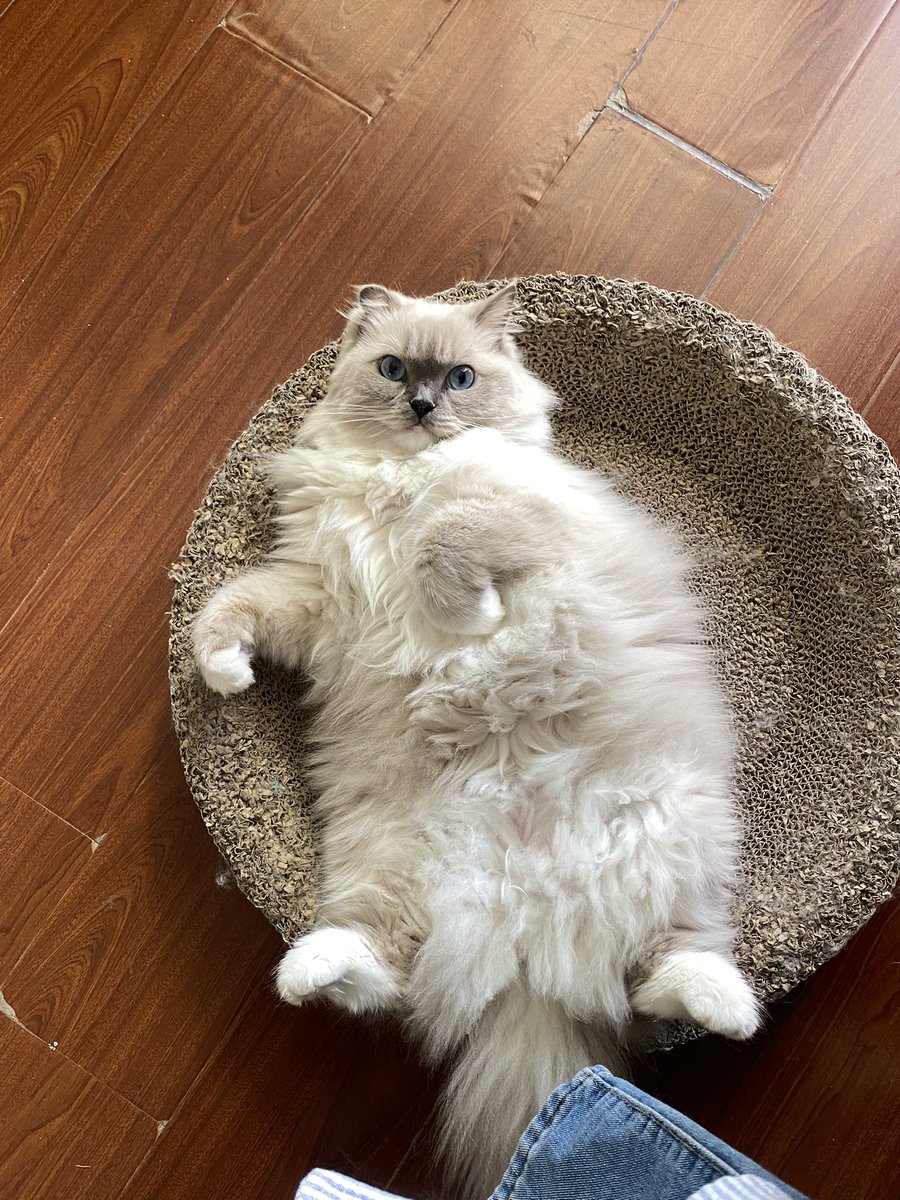 api_beer's tweet image. duangduang的，谁能想象她才8.9斤