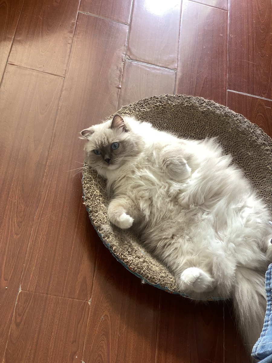 api_beer's tweet image. duangduang的，谁能想象她才8.9斤